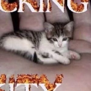 Meet your Posher, Estefani